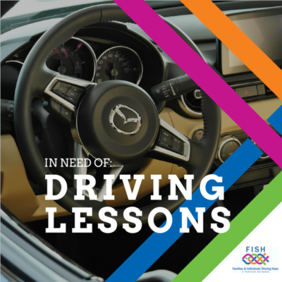 Driving Lessons and Laptop