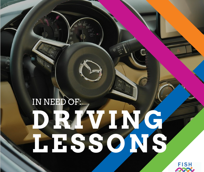 Driving Lessons and Laptop