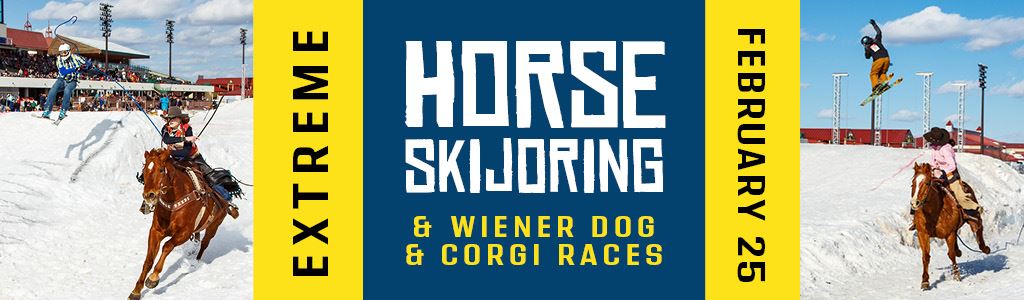 Skijoring_Header_1024x300